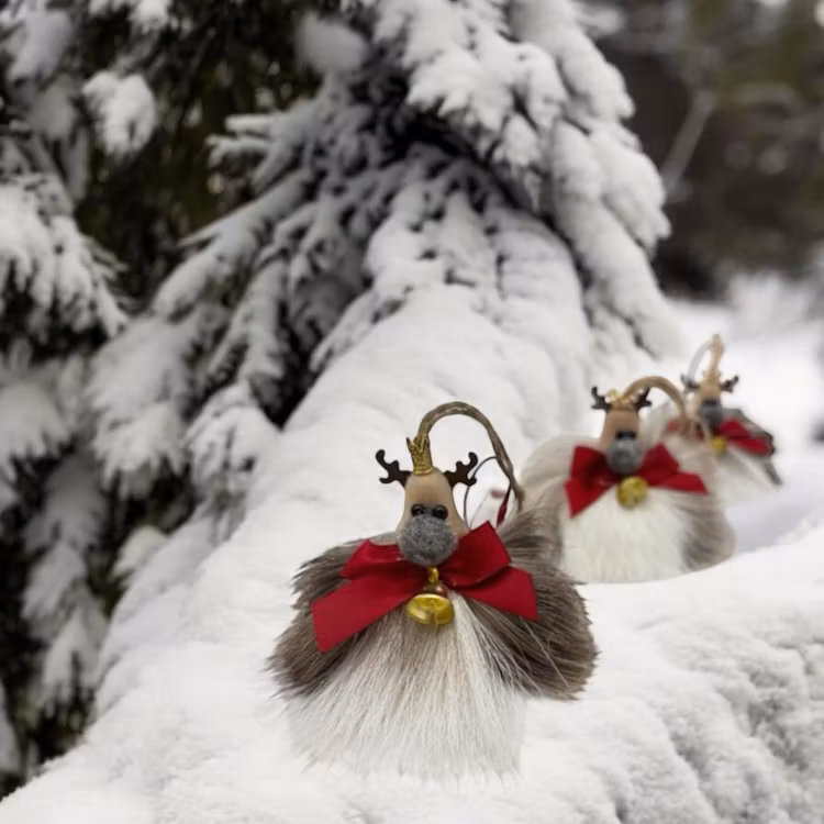 KUNG RUDOLF I ÄKTA SVENSKT RENSKINN.
