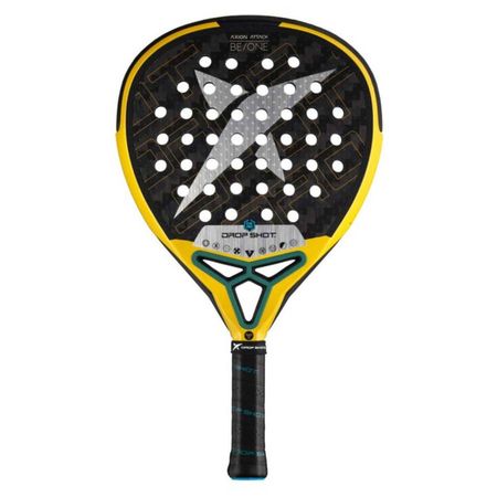 Dropshot Axion Attack 2024