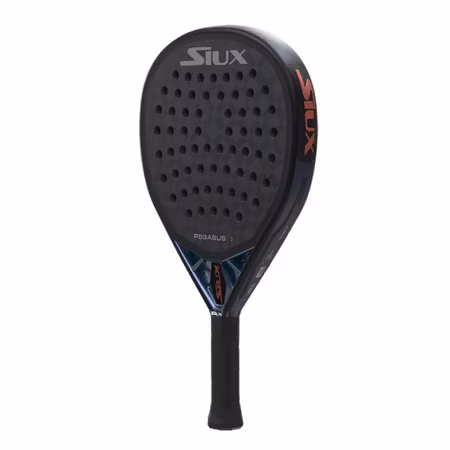 Siux Pegasus 3 2025