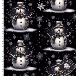 Snowman College