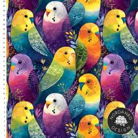 Budgie
