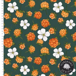 Cloudberry Petrol