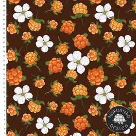 Cloudberry Espresso College