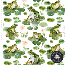 Frogs