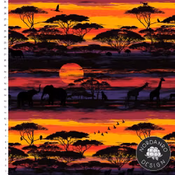 Africa