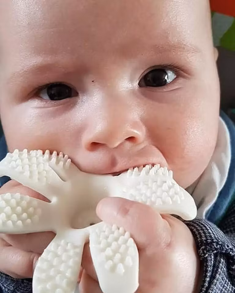 Mombella Octopus Rosa 3+mnd