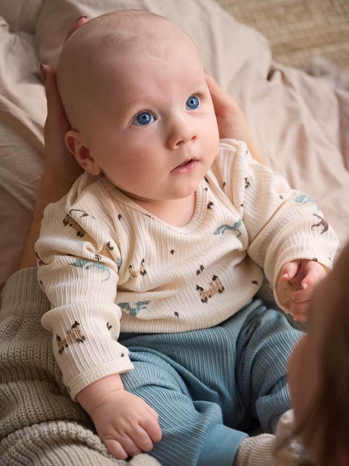 Fixoni - Body LS Rib