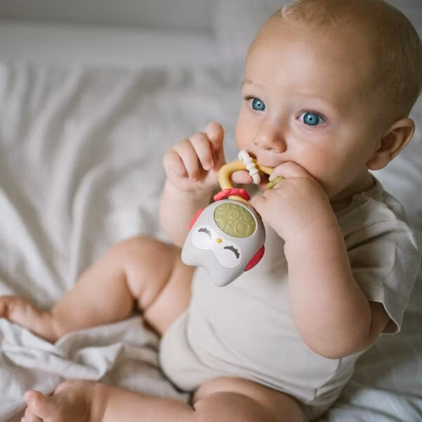 BabyOno rattle with sound Multicolor