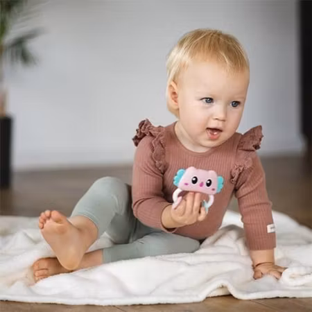 BabyOno rattle Owl