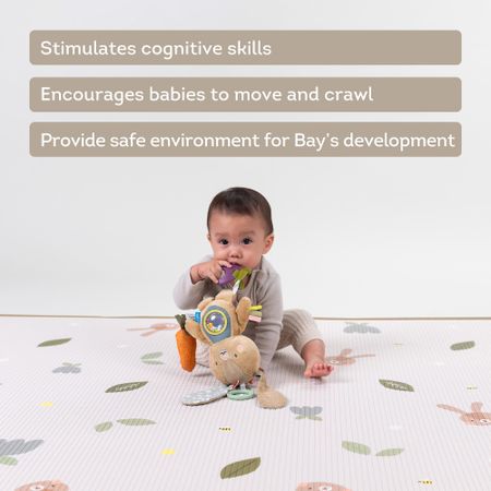 Taf Toys Roll & Play foam mat