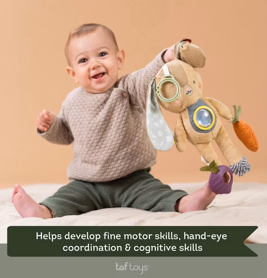 Taf Toys educational toy Jenny