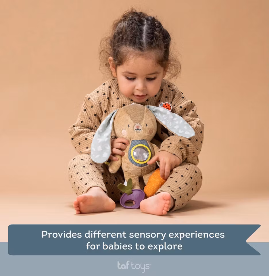 Taf Toys educational toy Jenny