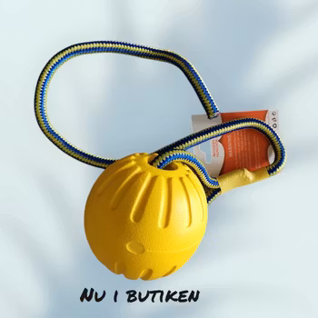 Boll med handtag / rep