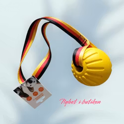 Boll med handtag / rep