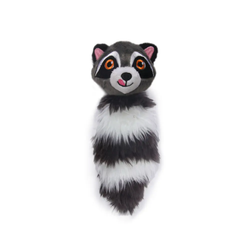 Raccoon