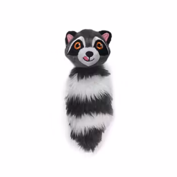 Raccoon