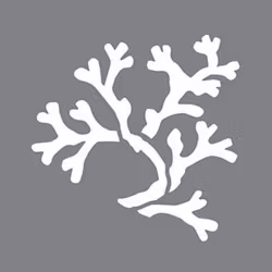 Stencil Coral DecoArt's design
