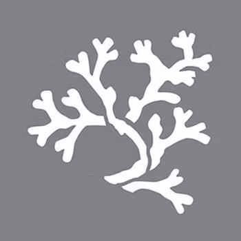 Stencil Coral DecoArt's design