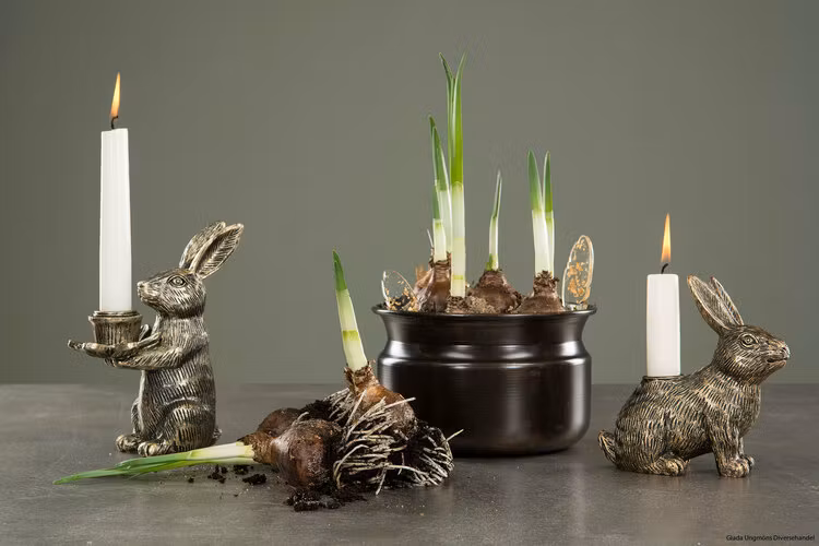 Hare Ljusstake sittande