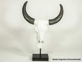 Kranium Vit med Horn