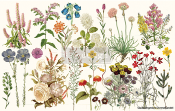 Re Design Decoupage Dècor Wild Herbs