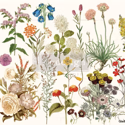 Re Design Decoupage Dècor Wild Herbs