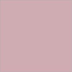 PLUS Color Dusty Rose