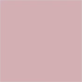 PLUS Color Dusty Rose