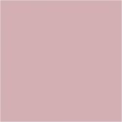 PLUS Color Dusty Rose