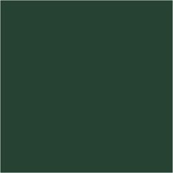 PLUS Color Dark green