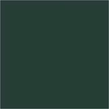 PLUS Color Dark green