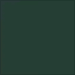 PLUS Color Dark green
