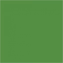 PLUS Color Bright green