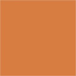 PLUS Color Pumpkin