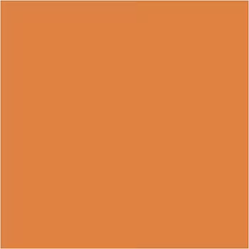 PLUS Color Pumpkin