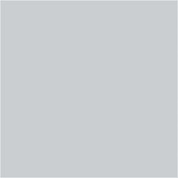 PLUS Color Light grey