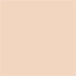 PLUS Color Fleshtone light