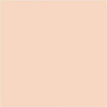 PLUS Color Fleshtone light