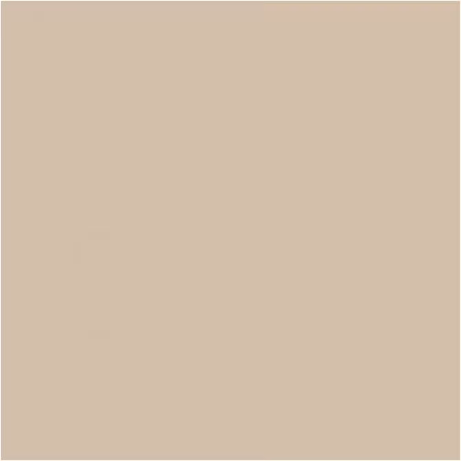 PLUS Color Dark beige