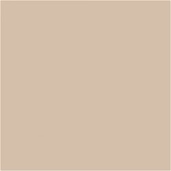 PLUS Color Dark beige