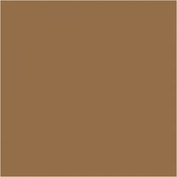 PLUS Color Light brown