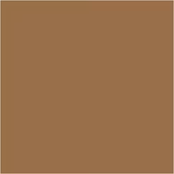 PLUS Color Light brown