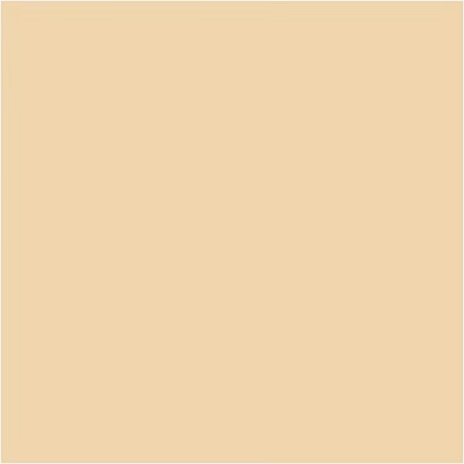 PLUS Color Fleshtone beige