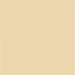 PLUS Color Fleshtone beige