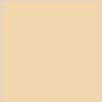PLUS Color Fleshtone beige