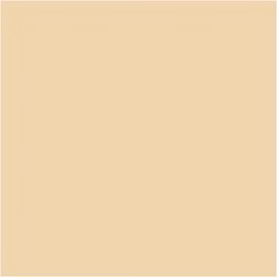 PLUS Color Fleshtone beige