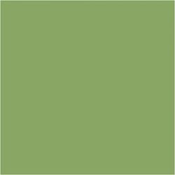 PLUS Color Leaf green