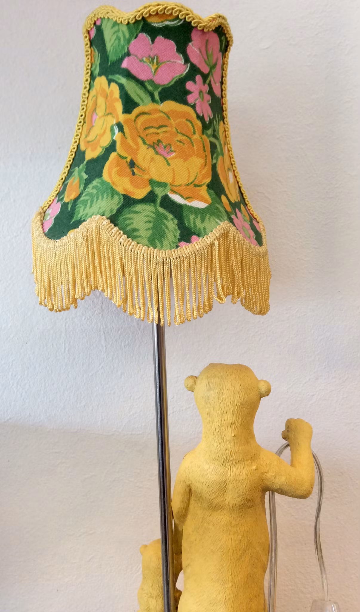 Surikat-lampa