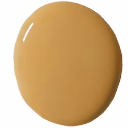 Annie Sloan Wall Paint  Carnaby Yellow