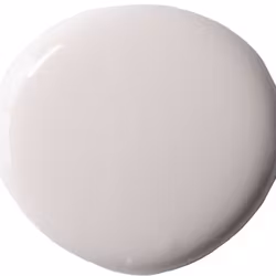 Annie Sloan Wall Paint  Pompadour